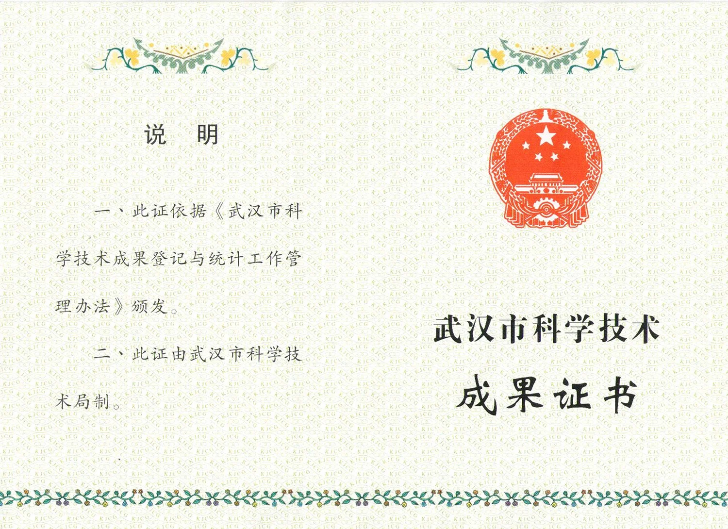 Wuhan scientific and technological achievement certificate