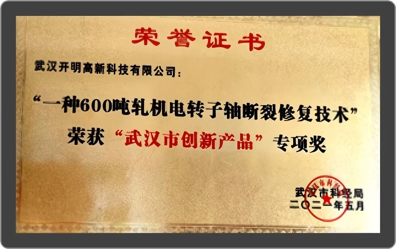 Wuhan Innovative Product special award