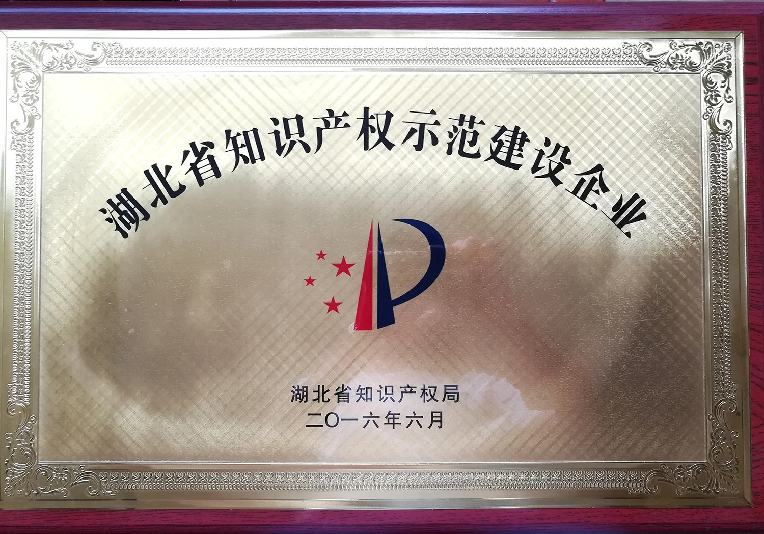 Hubei intellectual property demonstration enterprise